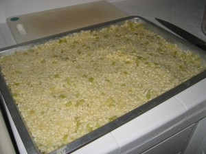 Risotto Step 1 Complete Risotto Step 1 Complete