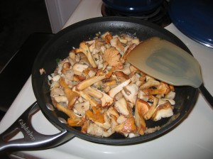 Mushroom Medley Mushroom Medley